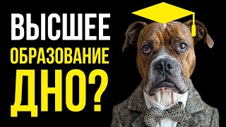 Гайд на Высшее образование в России. Что с ним не так?