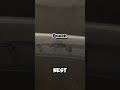 My ants are not in the nest, WHERE DID THEY GO!