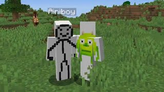 : ? ! | Minecraft #0