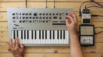 Minilogue and Tape Loop