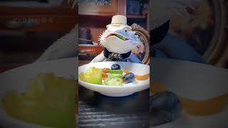 Bearded Dragon Vision Seeing the World in Ultraviolet