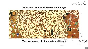 Macroevolution, Video 2 - EART22101 - Palaeobiology and Evolution