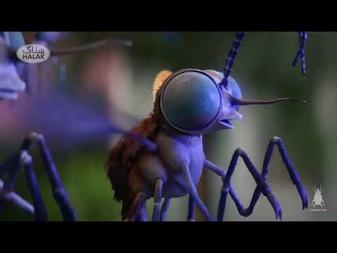پشه بوی کاملیا می داد تنها هلاک هلاک می کند