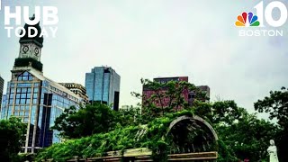 Things to do around the New England Aquarium