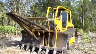 D5 DOZER WITH TREE SPEAR /FLORIDA LAND CLEARING