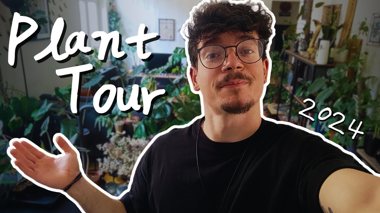 PLANT TOUR 🌿 Premier tour de ma collection - été 2024
