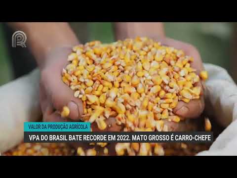 VPA do Brasil bate recorde em 2022. Mato Grosso é carro-chefe | Canal Rural