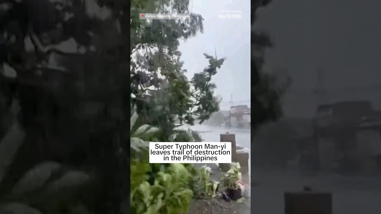 Typhoon Man-yi forced thousands of people to flee to emergency shelters in the Philippines Typhoon Man-yi forced thousands of people to flee to emergency shelters in the Philippines