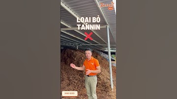 QUY TRÌNH SẢN XUẤT MỤN XƠ DỪA TẠI NHÀ MÁY BẾN TRE FICOCO