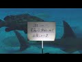 【ライブ配信】黒潮の海 大水槽