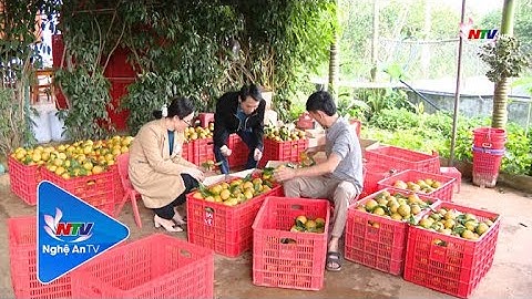 Quản lý chất lượng nông sản góp phần thúc đẩy kinh tế nông nghiệp phát triển