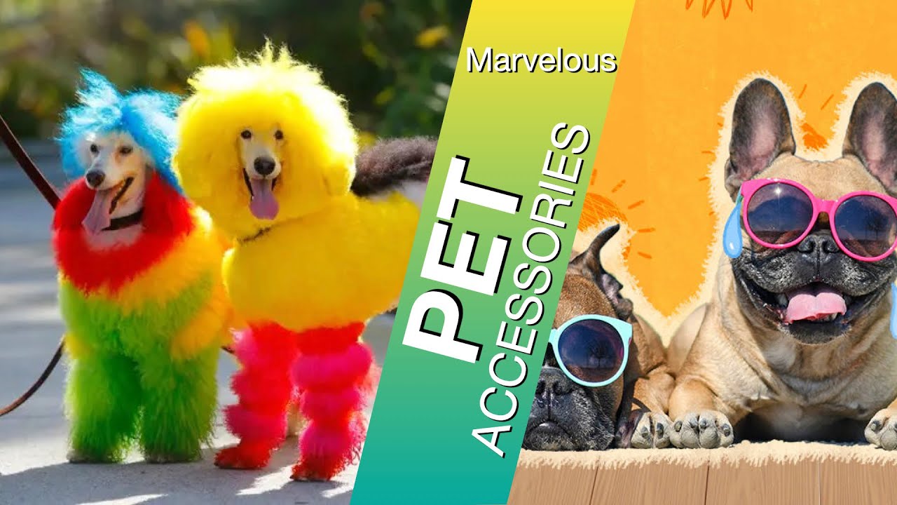 Marvelous Pet Accessories you will want to buy