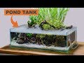 Building an indoor pond aquarium timelapse