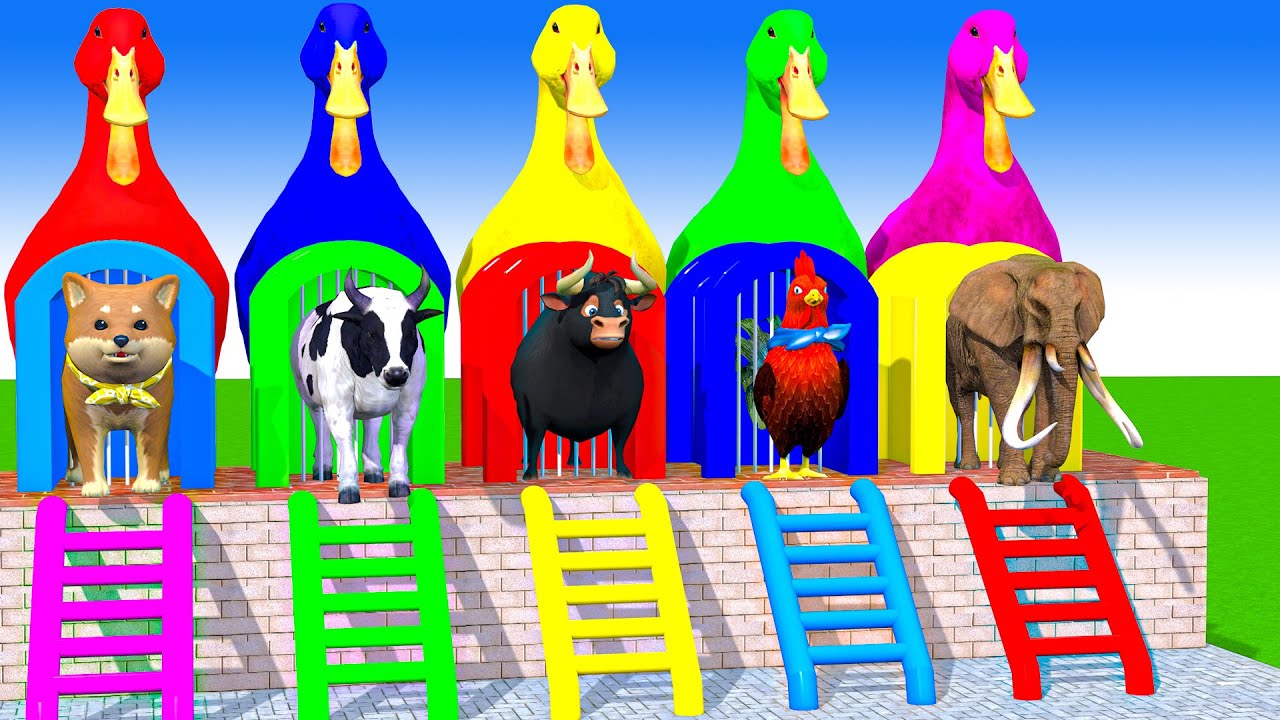 Long Slide Game With Cow Elephant Gorilla Hippopotamus Tiger 3d Animal Game Funny 3d Animals