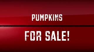 FUMC of St. Augustine - Pumpkins 2017