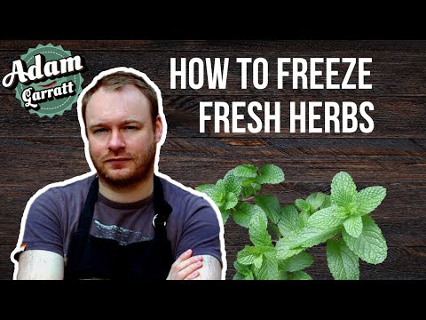 How to freeze fresh herbs to make them last | Pantrydemic recipes