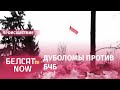 Под Новополоцком на высоком дереве заметили БЧБ-флаг