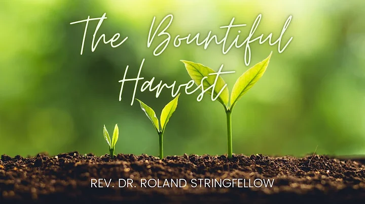 10.11.2020: The Bountiful Harvest - Rev. Dr. Rolan...