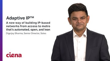 Adaptive IP - A new way of building IP-based networks from access to metro