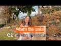 WHAT’S THE CRAIC? | E1: My Wife’s 33rd birthday vlog