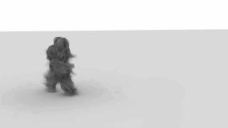 hairwalk_2.avi