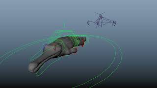 crocodile rig swimcycle