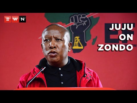 ‘Judges are respected for their rulings, not politics’ - Malema scolds Chief Justice Zondo