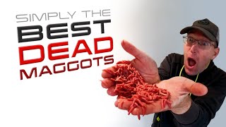 Simply The BEST Dead Maggots!