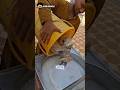 Kaget! Uang Kertas Benar-Benar Dicuci Seperti Baju