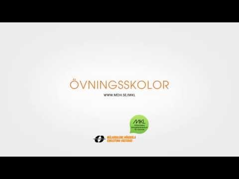 Övningsskolor