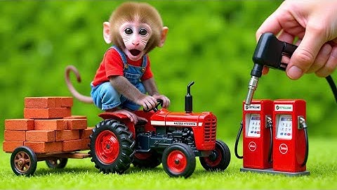 Monkey Nana drove the tractor into the forest and saw lightning set it on fire - NANA MONKEY LIFE