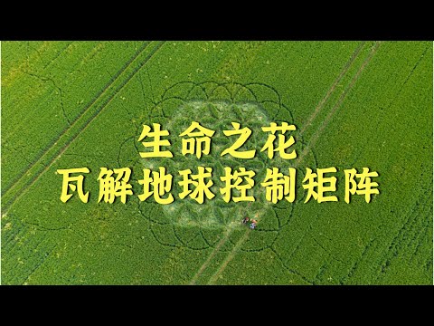 【生命之花】瓦解地球控制矩阵