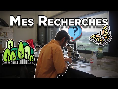 Un peu de CONTEXTE... MES RECHERCHES #1