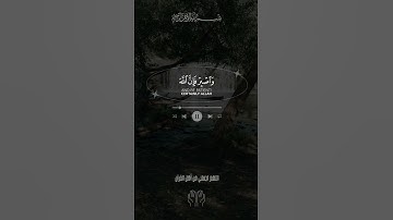 إن الحسنات يذهبن السيئات    من سورة هود  ماهر المعيقلي