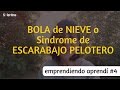 Bola de Nieve o Síndrome de Escarabajo Pelotero [Emprendiendo Aprendí #4]