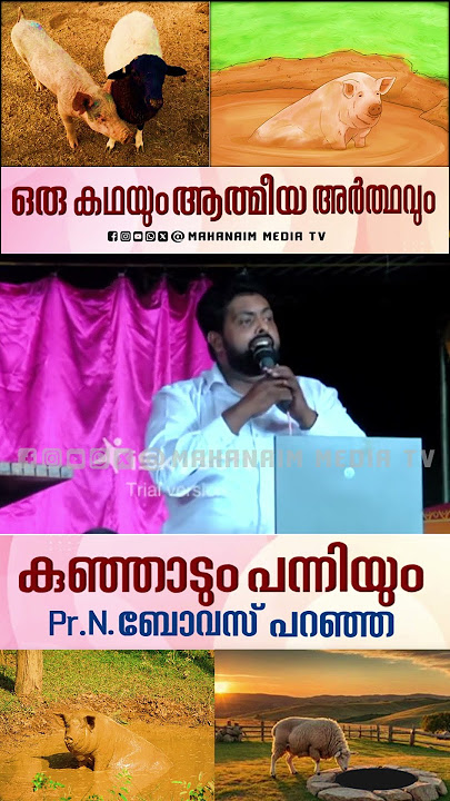 ☝ കുഞ്ഞാടും പന്നിയും  Pr. N. ബോവസ് പറഞ്ഞ ഒരു കഥ  ⁨@pastornbovas⁩