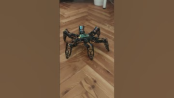 3d Printed Hexapod Robot