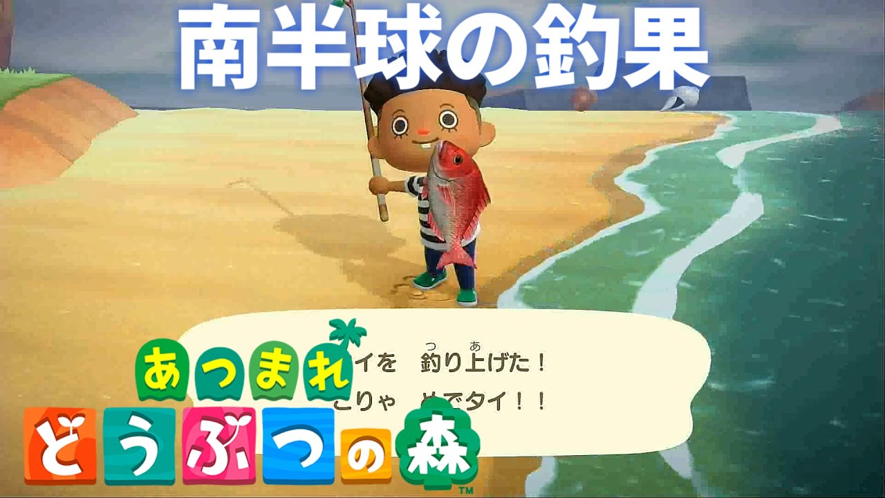 どう 森 南半球