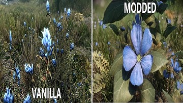 The Elder Scrolls V - Skyrim - Vanilla vs Modded - Elysium