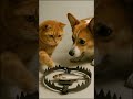 Will It Press the Trap? Or Stay Frozen in Fear?  #trap #funnyanimals