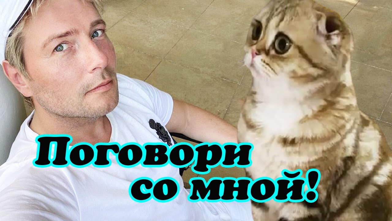 Николай Басков показал подросшую любимицу Шанель - YouTube