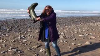 Oh God Look What Happened On Widmouth Beach. Only Me