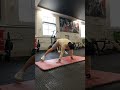 #calisthenics #gymlife #gym #fitness #motivation #fyp #shortvideo #short #shorts