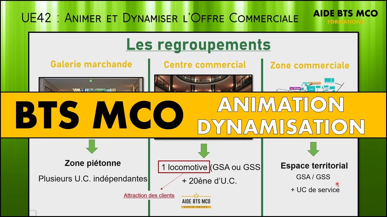 AIDE BTS MCO | Centre commercial ou zone commerciale ? | U42 ANIMATION