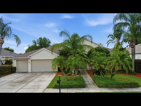 2138 Edelweiss Loop, Trinity, FL home video tour
