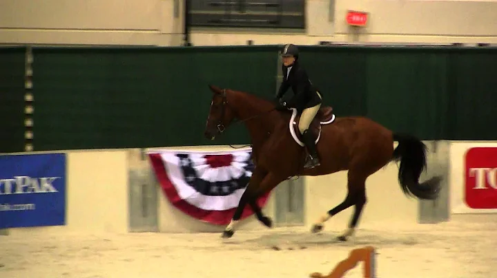 Heather Ann Cahill and Word Perfect