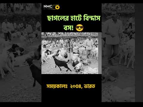 ছাগলের হাটে এ কেমন বিক্রেতা?! 😲 #shorts