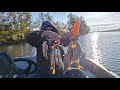 Чарыш -  два ведра зачетных окуней