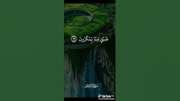 ما تيسر من سورة النحل @التكنولوجياوالإنسان #سورة_النحل #القرآن_الكريم #التلاوات_النادره