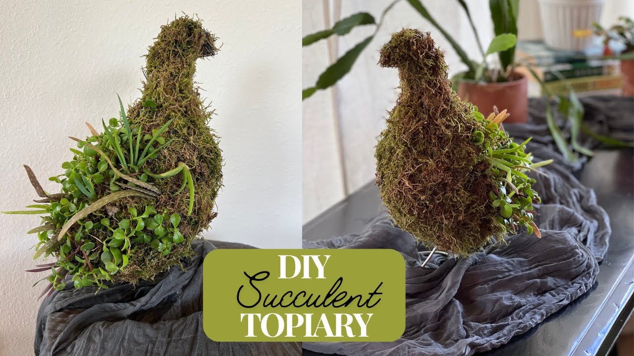 DIY Bird Topiary with Succulents